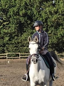 Photo de ZESTE DES AUBUS, pur-sang arabe passé au Haras de la Chataignière - Des Aubus