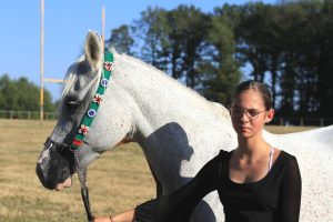 Photo de ZESTE DES AUBUS, pur-sang arabe passé au Haras de la Chataignière - Des Aubus