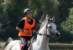 Photo de ZESTE DES AUBUS, pur-sang arabe passé au Haras de la Chataignière - Des Aubus