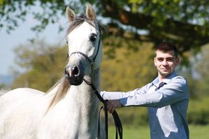 Photo de ZESTE DES AUBUS, pur-sang arabe passé au Haras de la Chataignière - Des Aubus