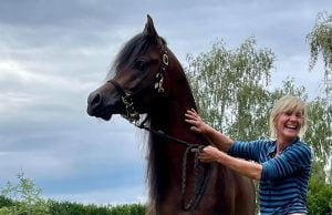 Photo de ZESTE DES AUBUS, pur-sang arabe passé au Haras de la Chataignière - Des Aubus